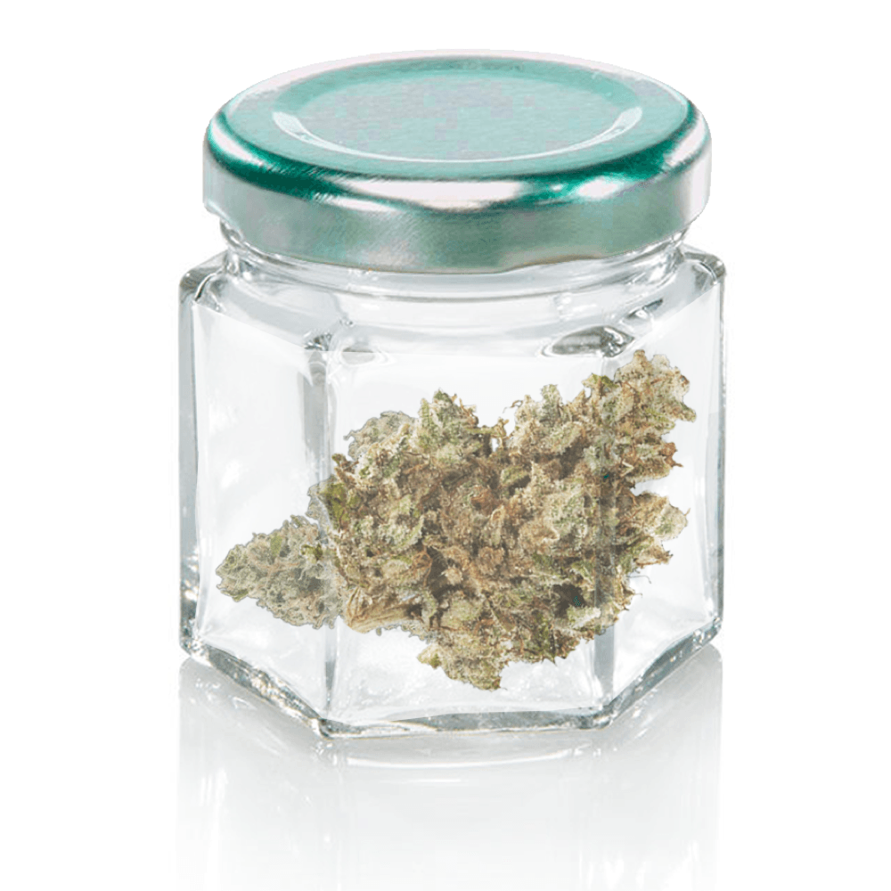 (Milky Way x Dosidos #91 ) x Nightshade #14
