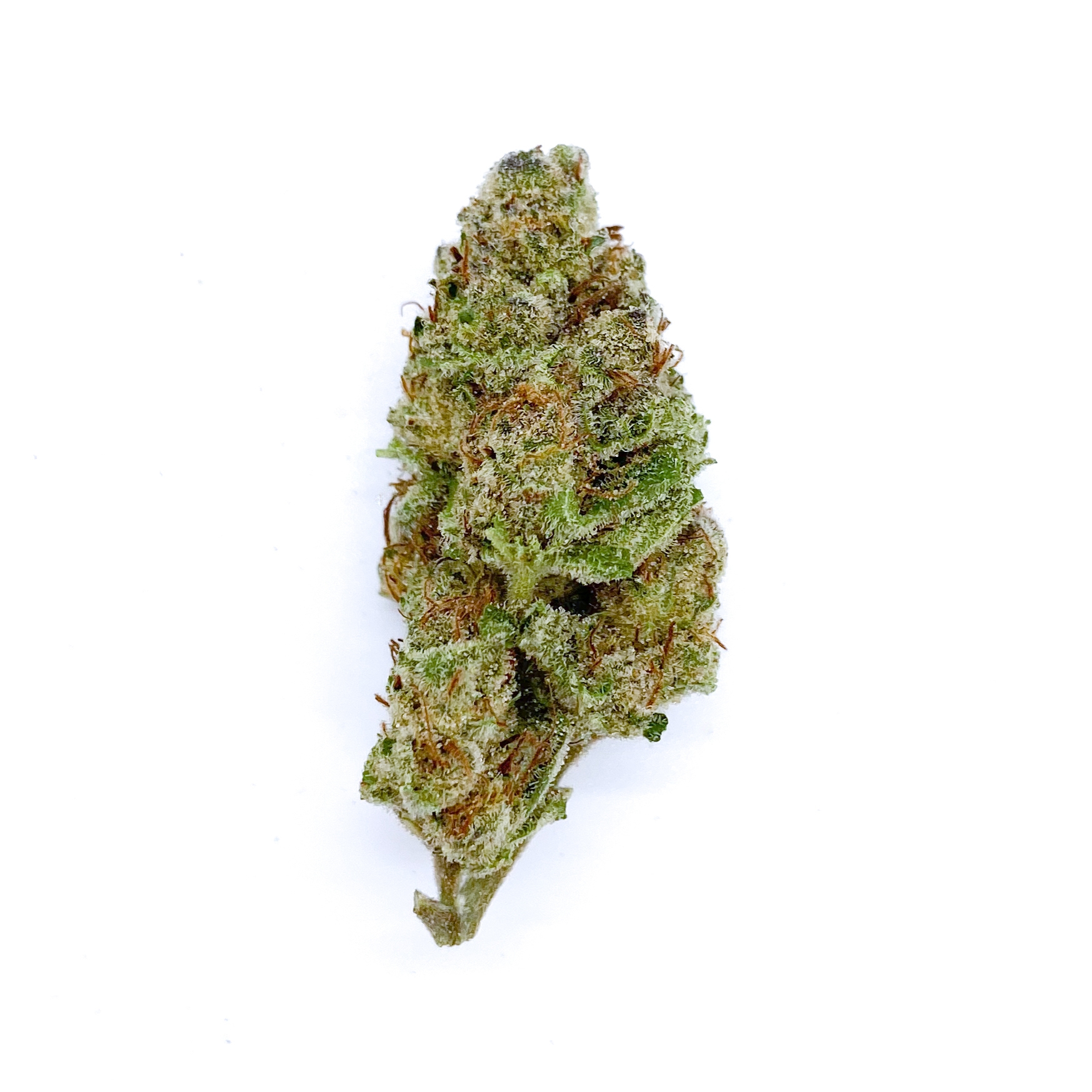 Purple Urkle