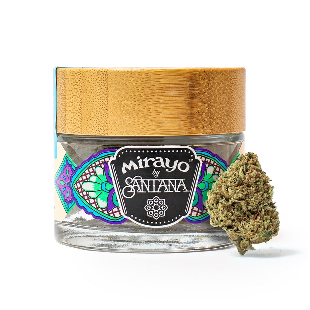 Gelato 41
