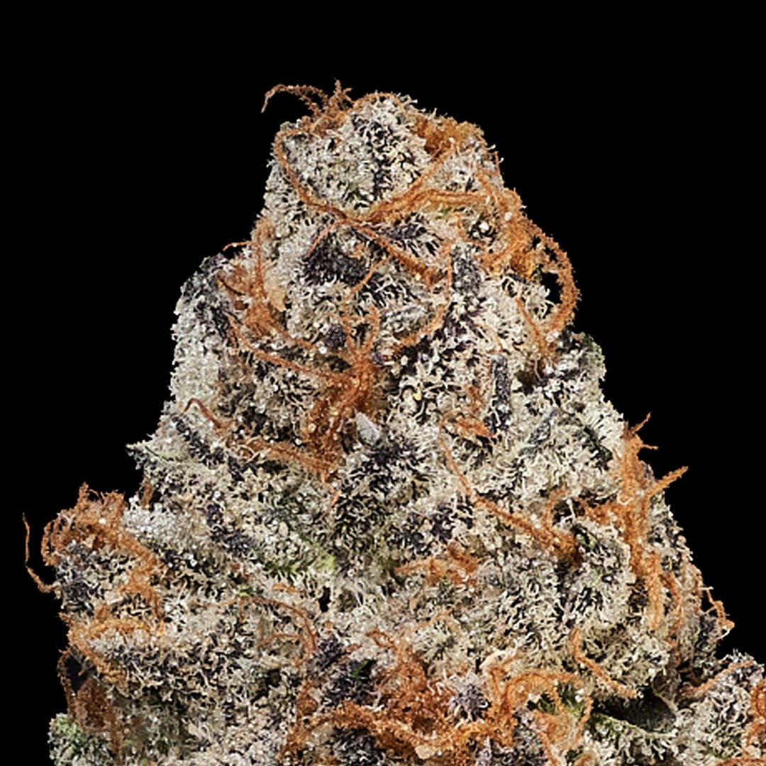 Blue Gas