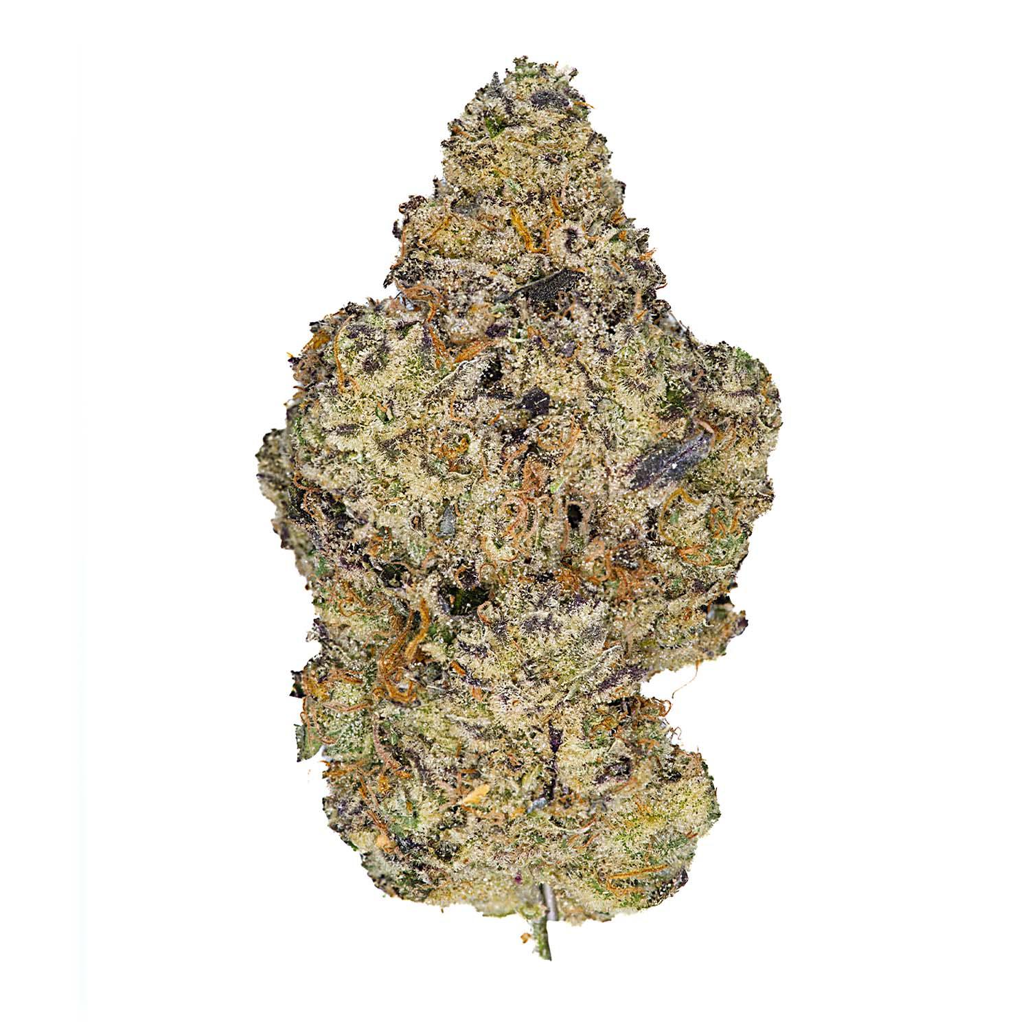 Cheetah Piss - 3.5g Top Shelf Indoor Flower