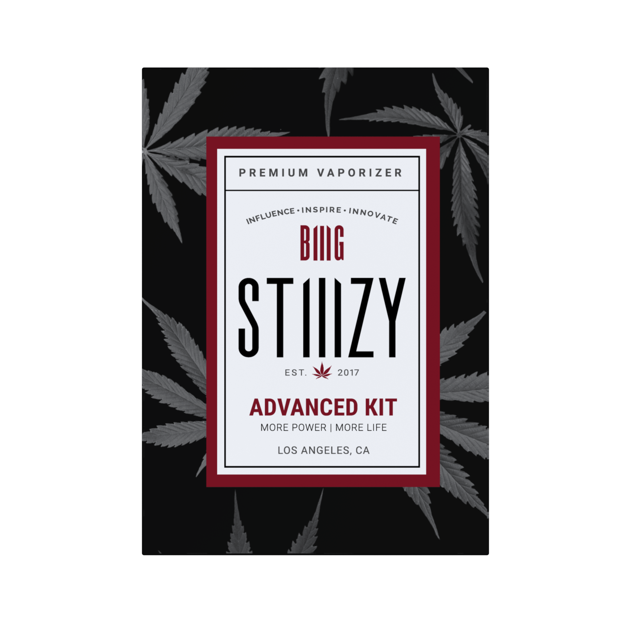 BIIIG Starter Kit - Assorted