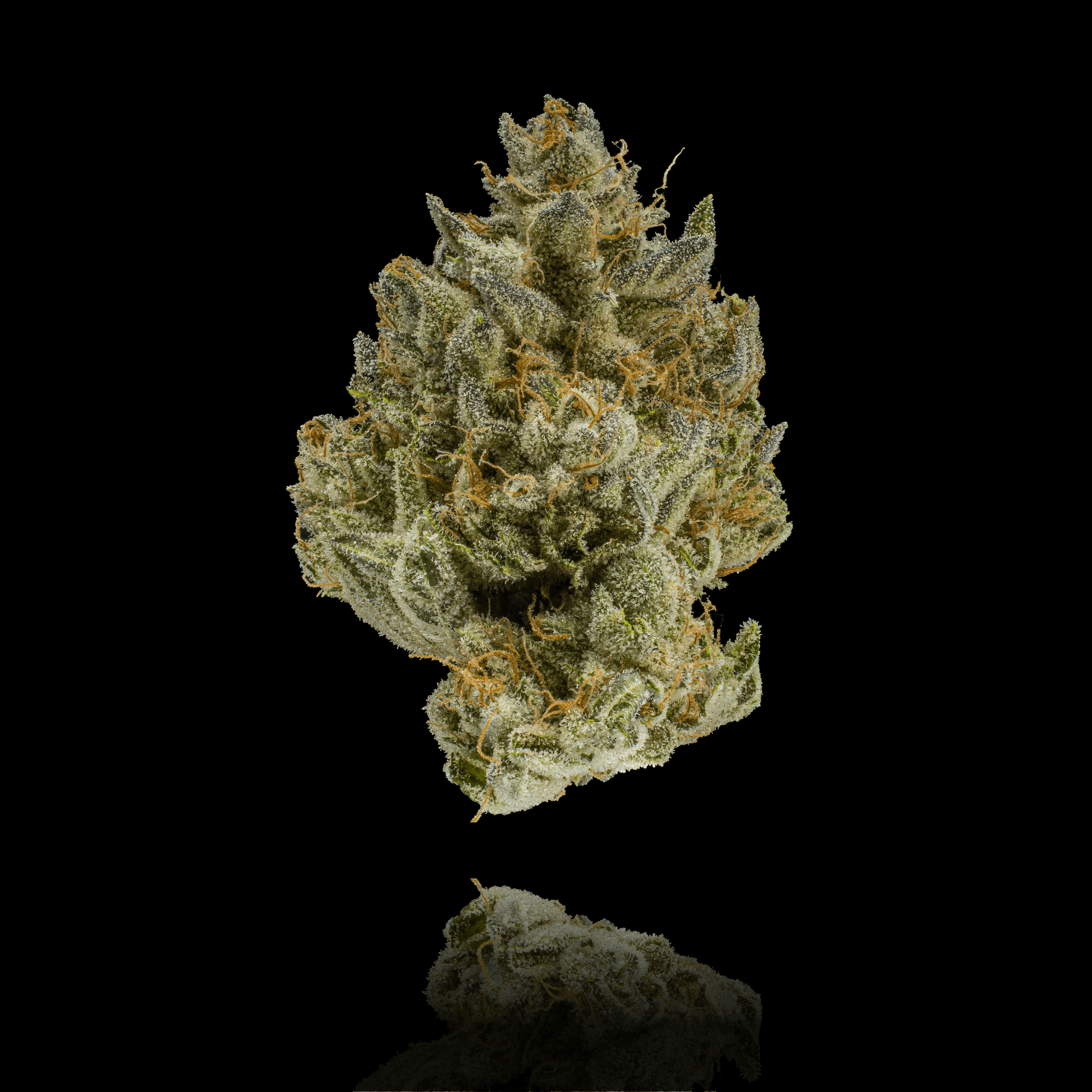 Blueberry Zkittles