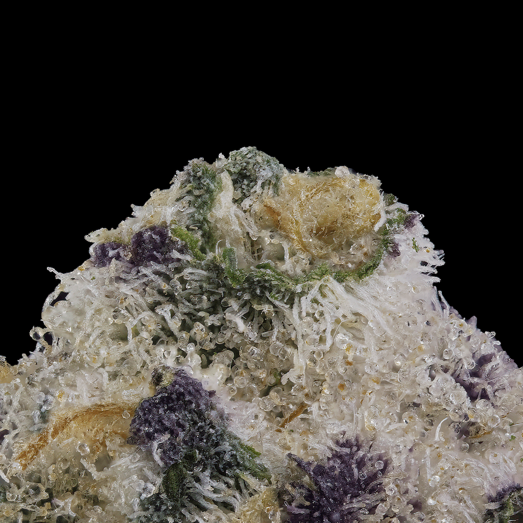 Grape Ambrosia
