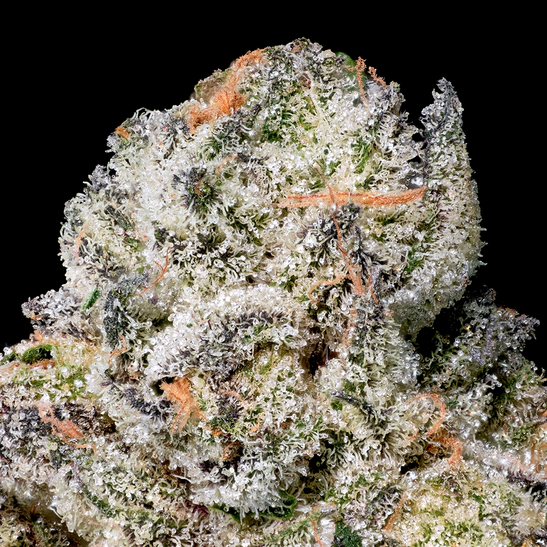 Ambrosia x Black Diamond X