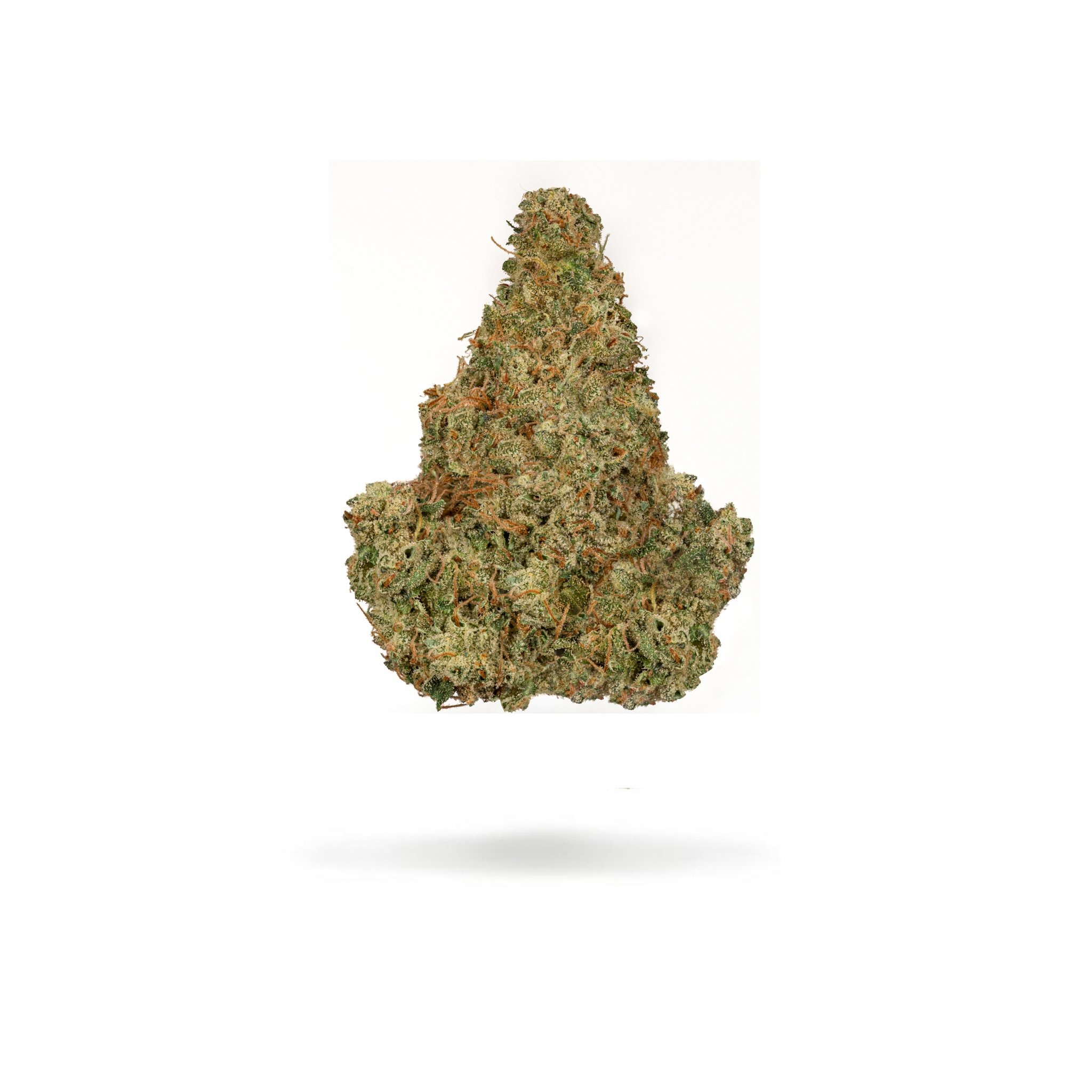DURBAN POISON - PR
