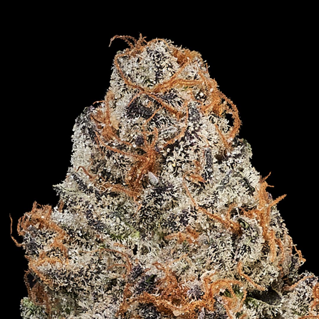 Blue Gas