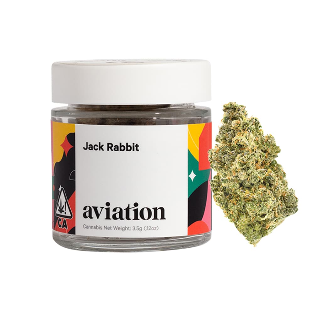 Jack Rabbit