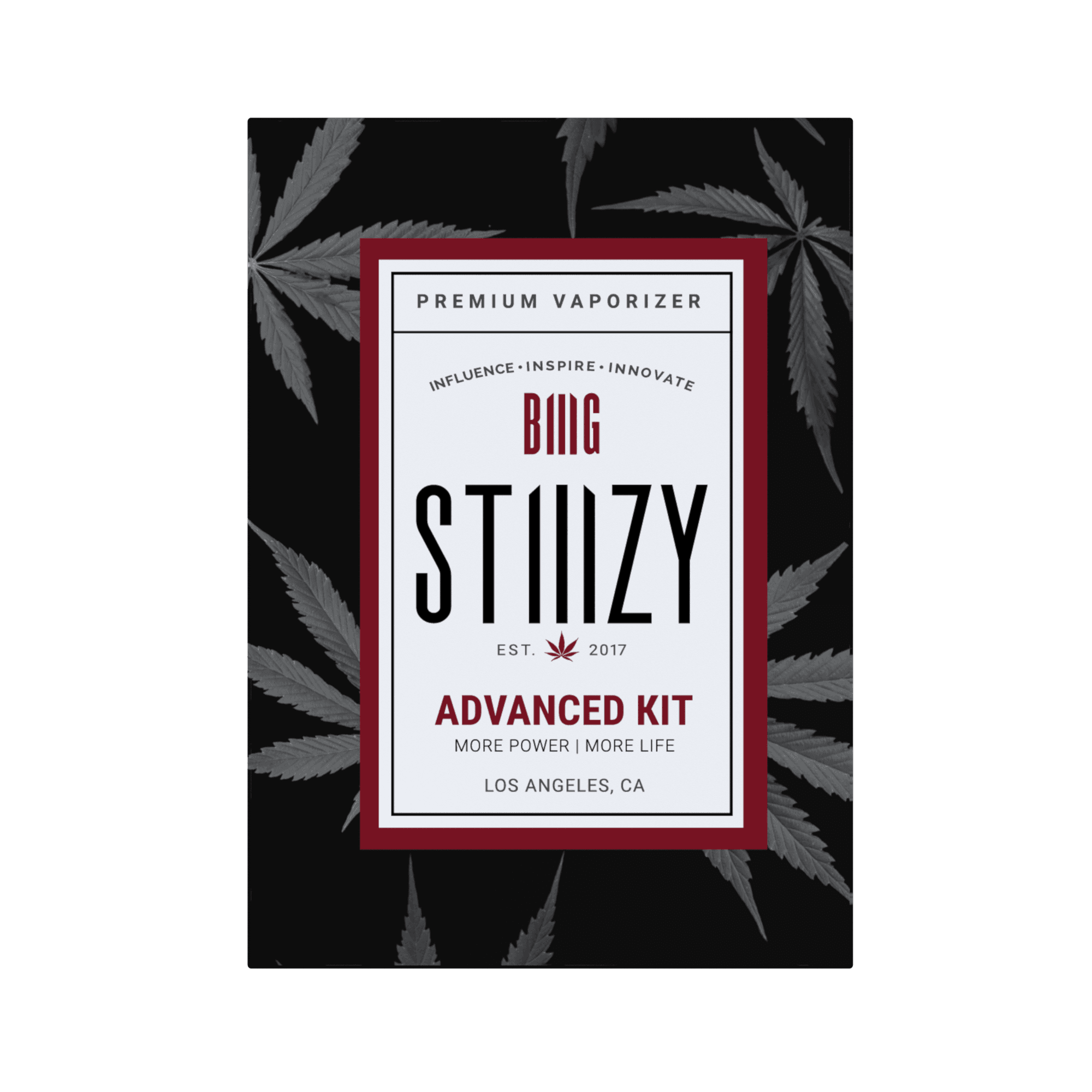 BIIIG Starter Kit - Assorted
