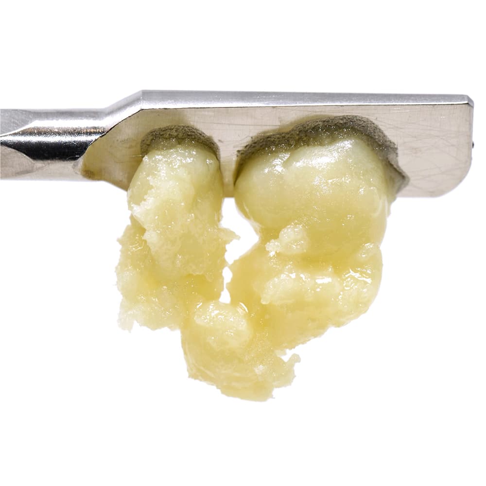 GMO