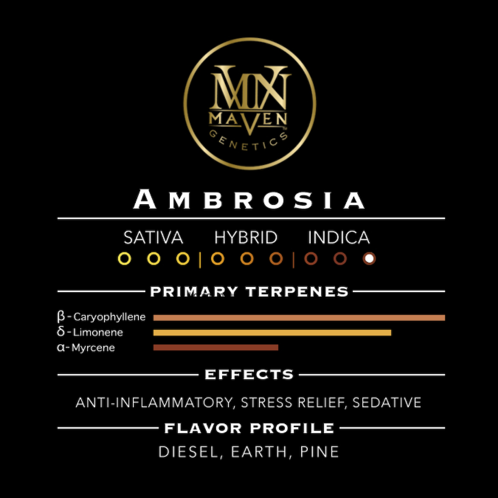 Ambrosia x Black Diamond X [.5g]