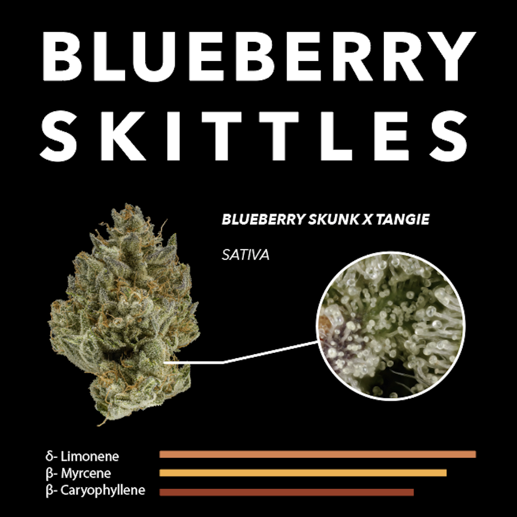 Blueberry Zkittles